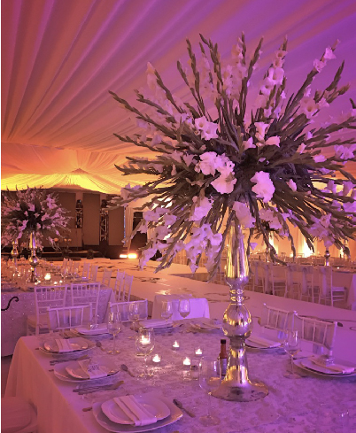 WEDDING-PLANNER-GUADALJARA-HADO-BODAS-DE-PLATA-NAYARIT-01